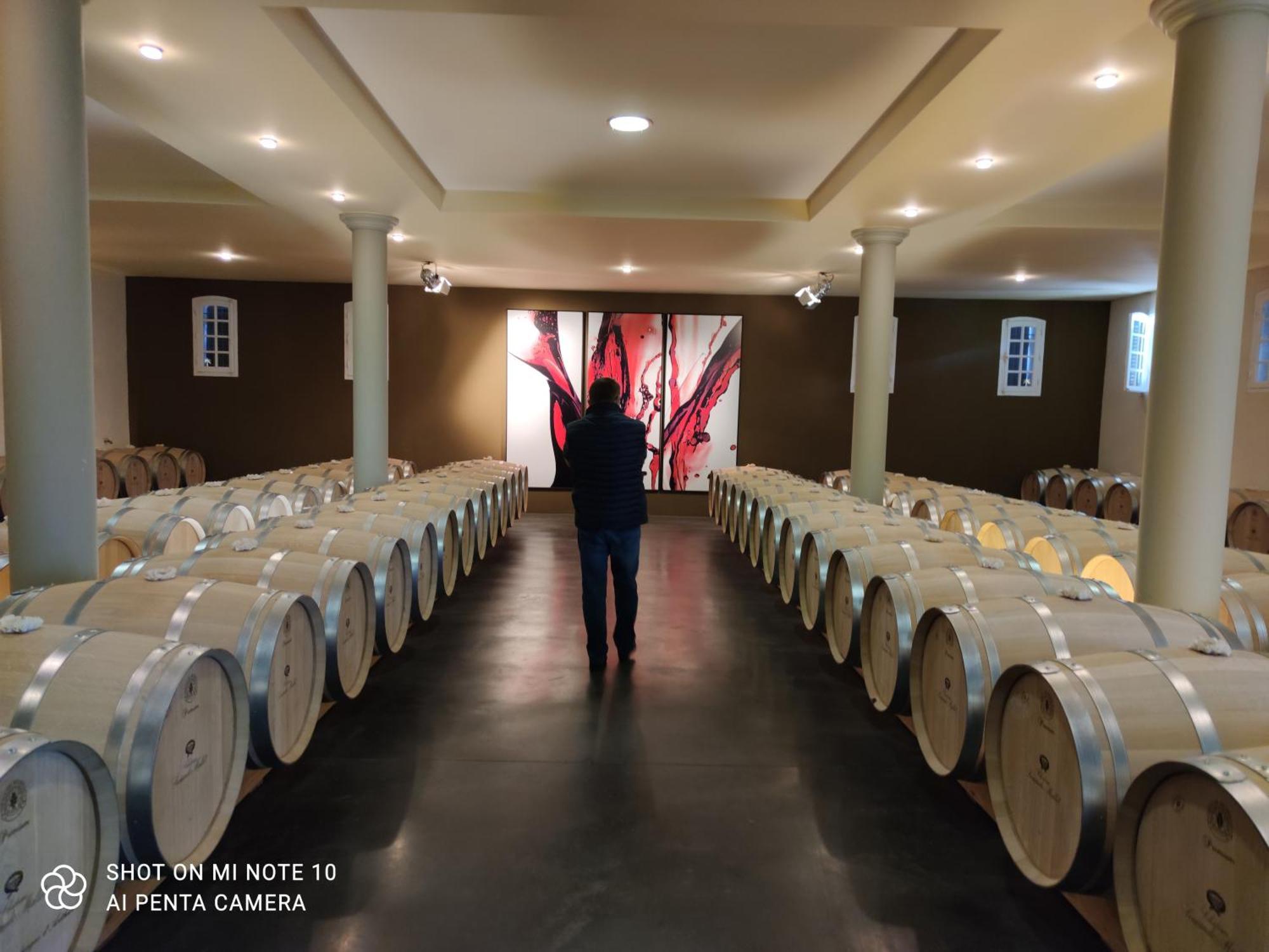 Domaine Des Pres De Joussac - Protocole Sanitaire Strict Villa Jau-Dignac-et-Loirac Ngoại thất bức ảnh